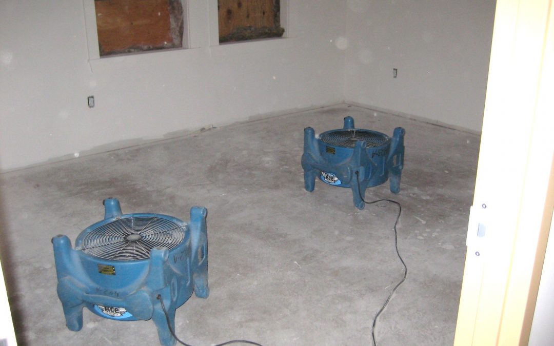 Wet Concrete