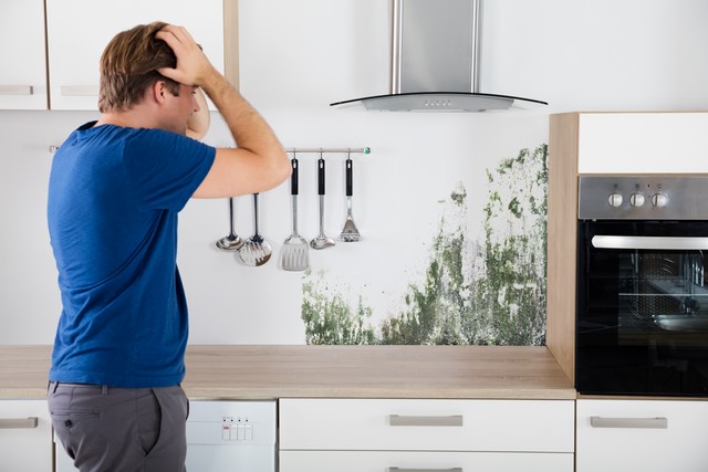 If You Think You Found Mold Keep These Tips In Mind!