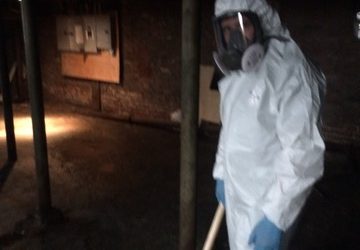 Tips To Prevent Mold After A Flood or Water Damage!
