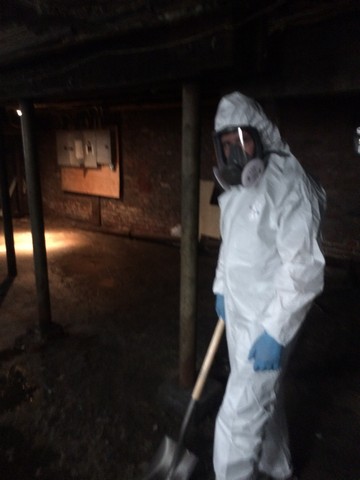 Tips To Prevent Mold After A Flood or Water Damage!