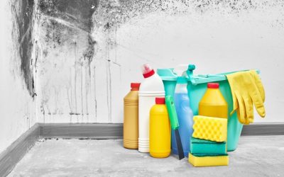Mold and the Bleach Myth Explained!