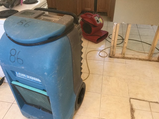 Top 9 Mold Prevention Tips After A Flood!
