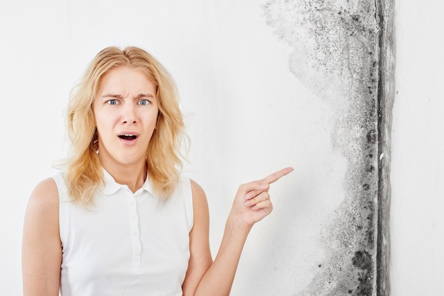 What Happens During Mold Removal?