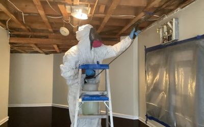 Mold Prevention Tips!