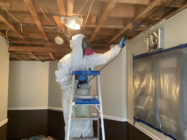 Mold Prevention Tips!