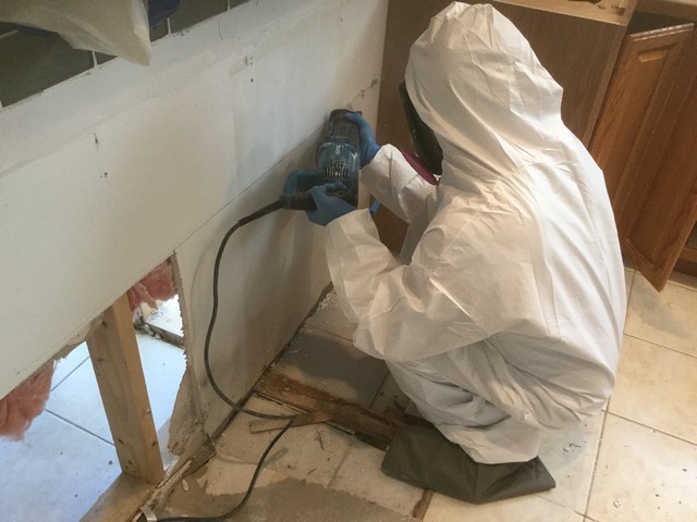 Basement Mold Prevention Tips!
