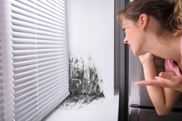 Found Mold? Don’t Panic!