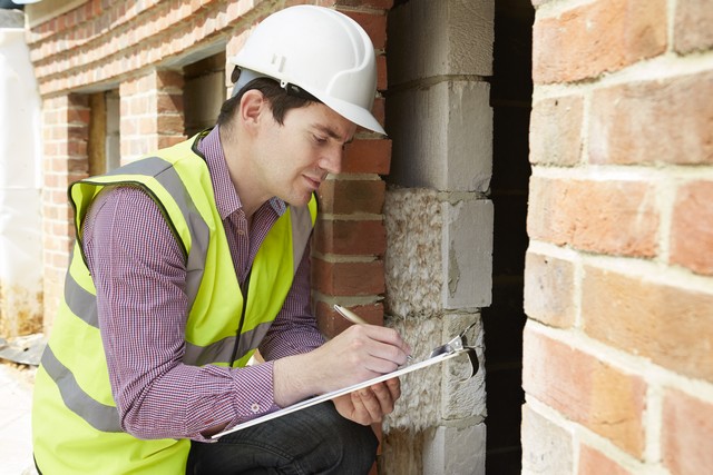 What Happens During A Professional Mold Inspection?