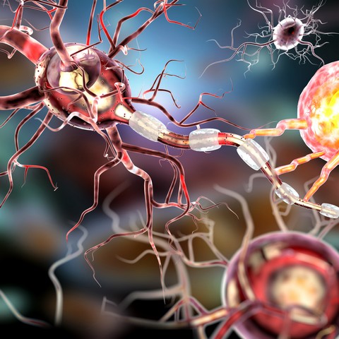 Is There A Link Between Mold and Parkinson’s Disease?