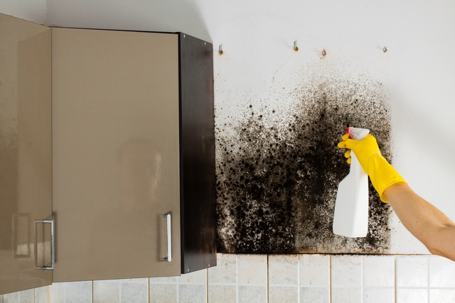 Killing Mold Is Not The Answer!